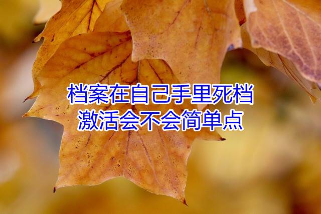 档案在自己手里死档激活会不会简单点