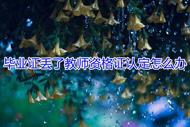 毕业证丢了教师资格证认定怎么办