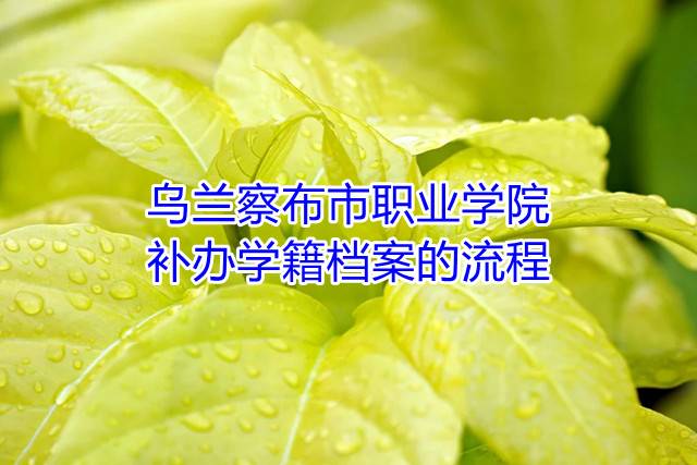 乌兰察布市职业学院补办学籍档案的流程