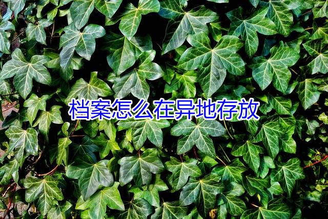 档案怎么在异地存放
