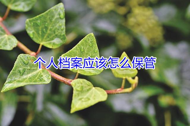 个人档案应该怎么保管