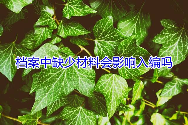 档案中缺少材料会影响入编吗