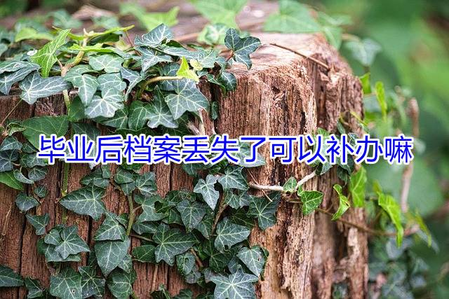 毕业后档案丢失了可以补办嘛