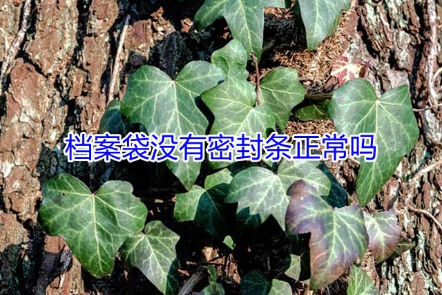 档案袋没有密封条正常吗