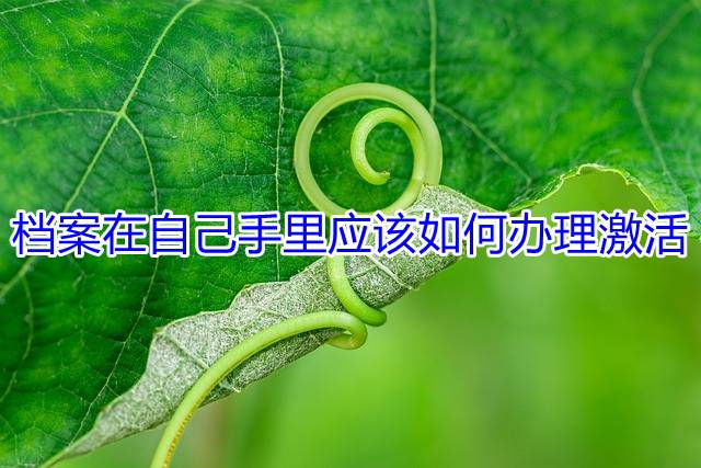 档案在自己手里应该如何办理激活