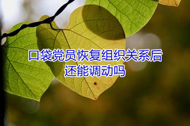 口袋党员恢复组织关系后还能调动吗
