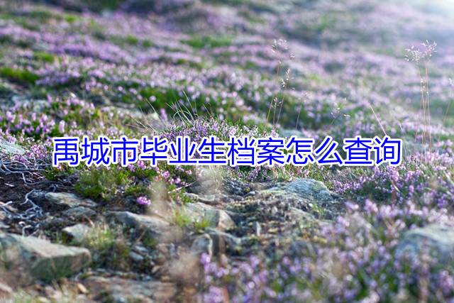 禹城市毕业生档案怎么查询