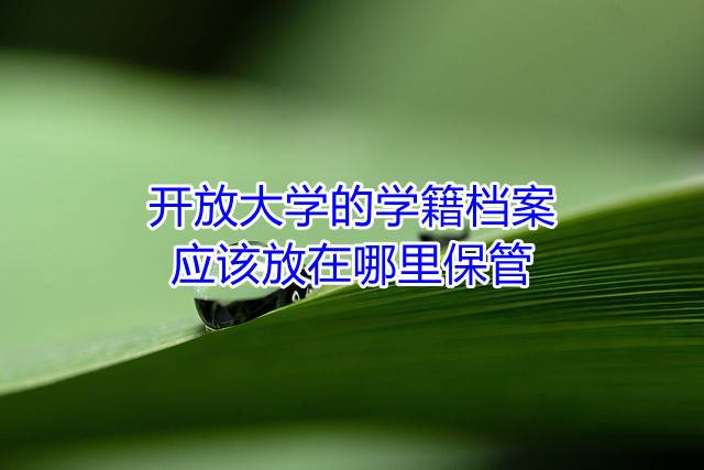 开放大学的学籍档案应该放在哪里保管