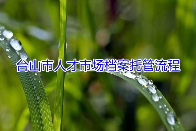 台山市人才市场档案托管流程