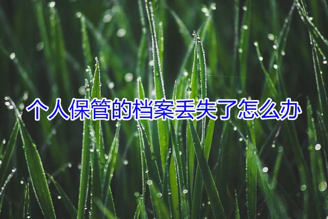 个人保管的档案丢失了怎么办