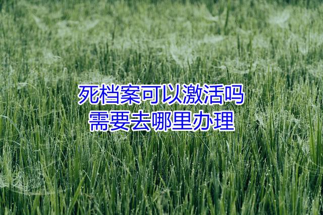 死档案可以激活吗，需要去哪里办理