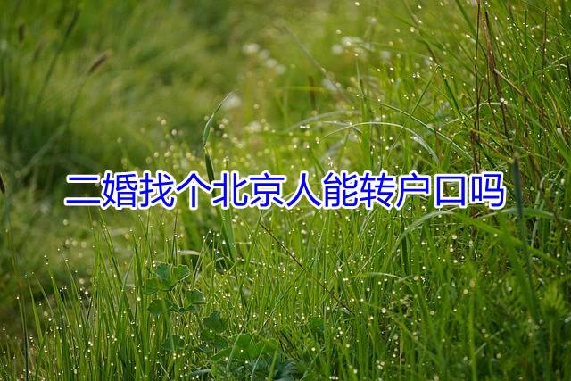 二婚找个北京人能转户口吗