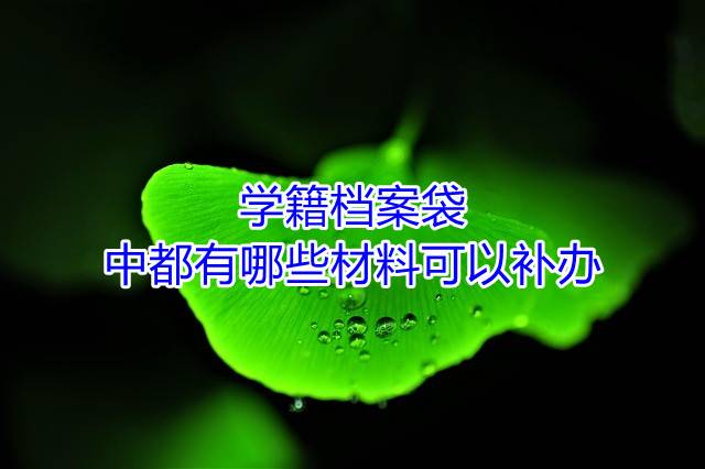 学籍档案袋中都有哪些材料可以补办