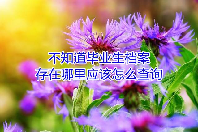 不知道毕业生档案存在哪里应该怎么查询