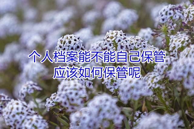 个人档案能不能自己保管，应该如何保管呢
