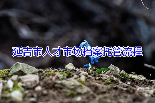 延吉市人才市场档案托管流程