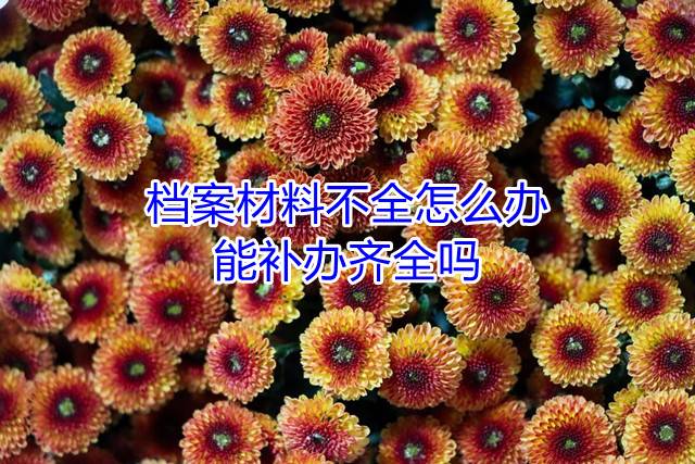 档案材料不全怎么办，能补办齐全吗