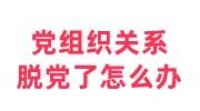 党组织关系脱党了怎么办，申请恢复由哪个党组织负责