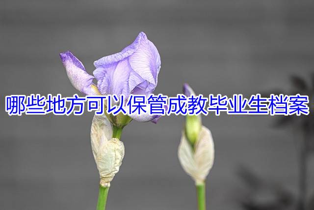 哪些地方可以保管成教毕业生档案