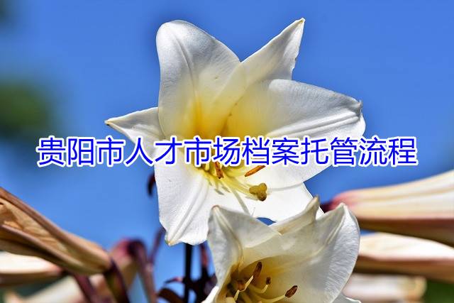 贵阳市人才市场档案托管流程