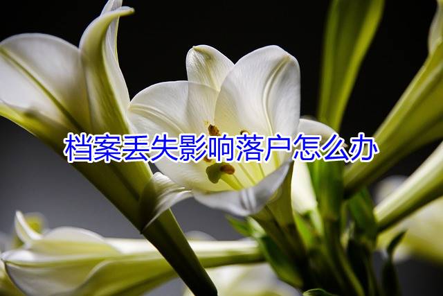 档案丢失影响落户怎么办