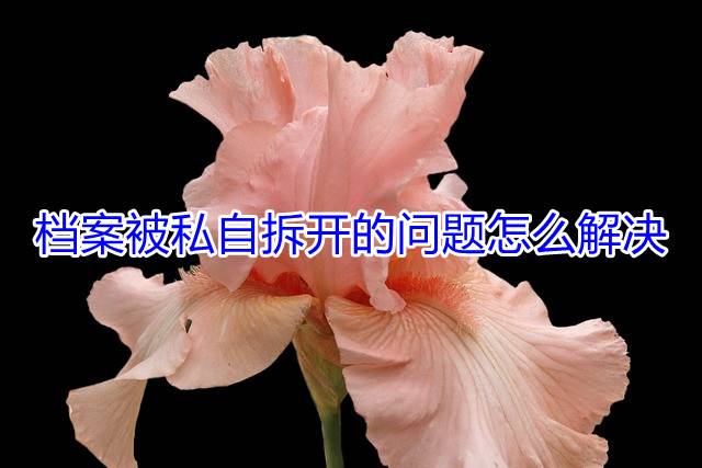 档案被私自拆开的问题怎么解决