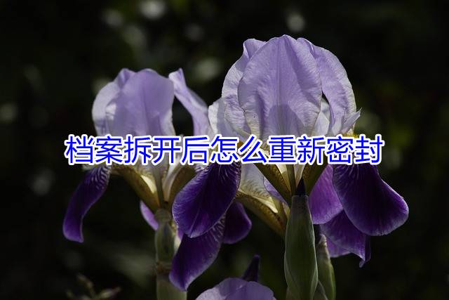 档案拆开后怎么重新密封