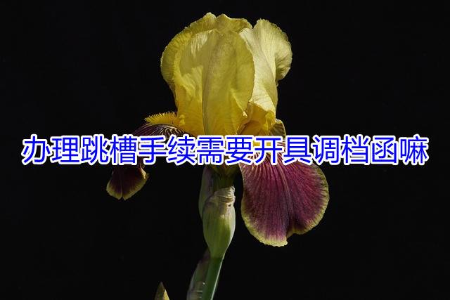办理跳槽手续需要开具调档函嘛