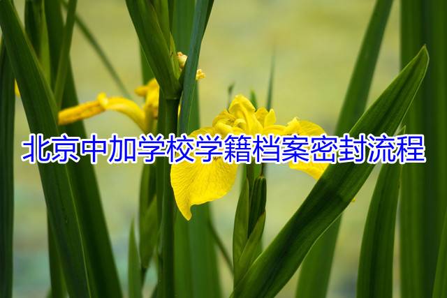 北京中加学校学籍档案密封流程