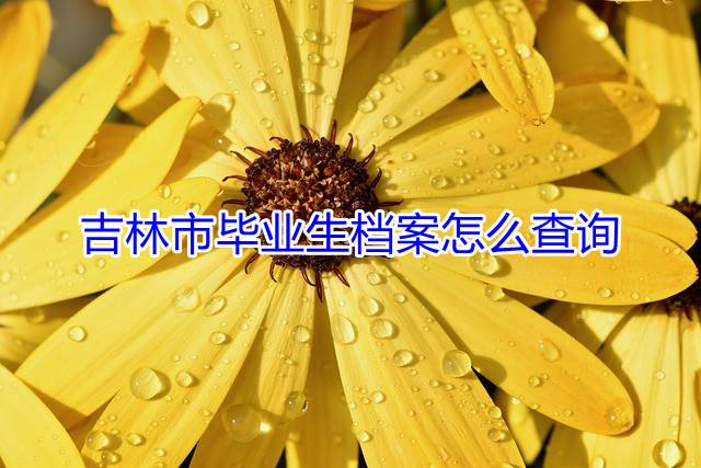 吉林市毕业生档案怎么查询