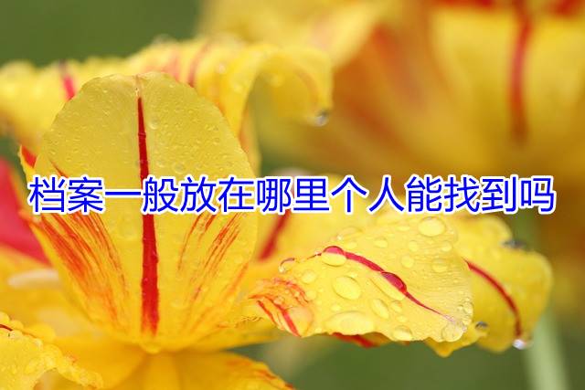 档案一般放在哪里个人能找到吗