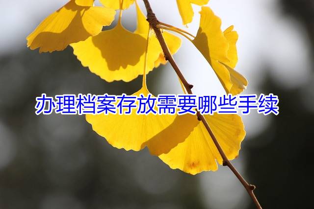 办理档案存放需要哪些手续