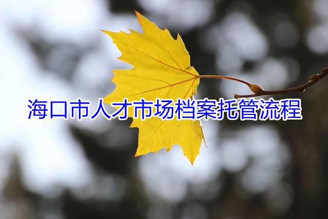 海口市人才市场档案托管流程