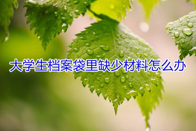大学生档案袋里缺少材料怎么办