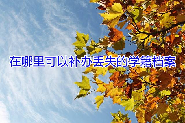 在哪里可以补办丢失的学籍档案