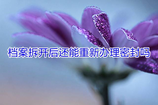 档案拆开后还能重新办理密封吗