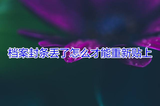 档案封条丢了怎么才能重新贴上