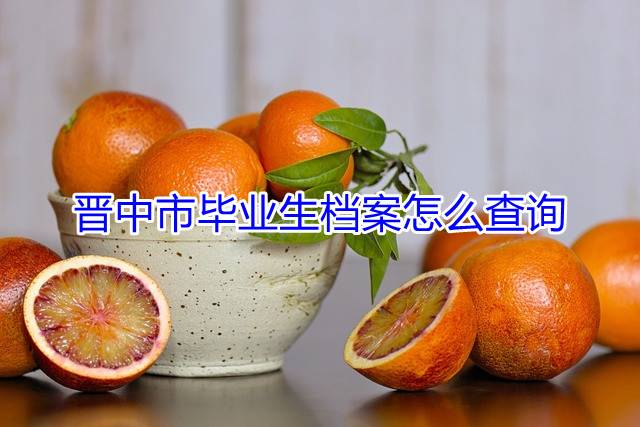 晋中市毕业生档案怎么查询