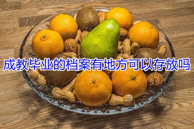 成教毕业的档案有地方可以存放吗