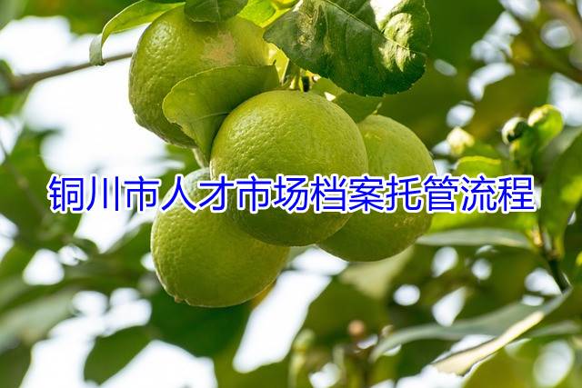 铜川市人才市场档案托管流程