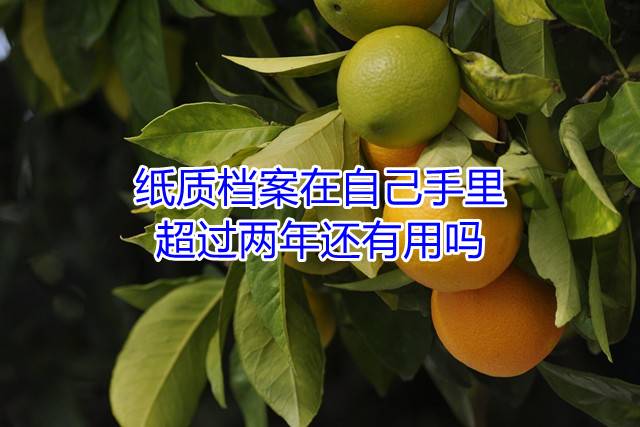 纸质档案在自己手里超过两年还有用吗