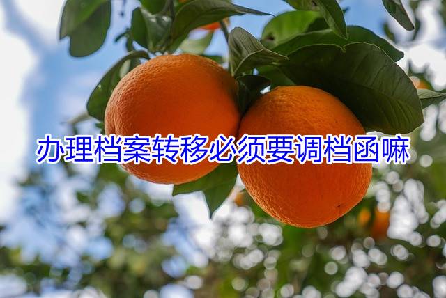 办理档案转移必须要调档函嘛