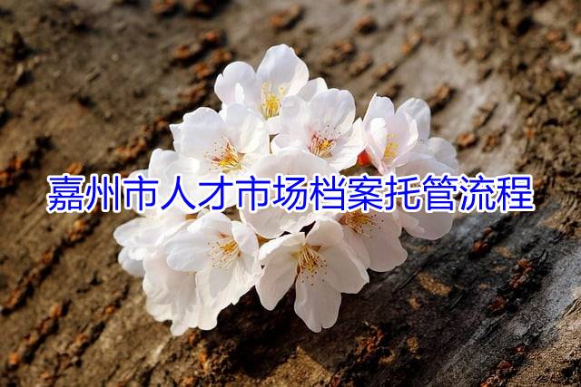 嘉州市人才市场档案托管流程