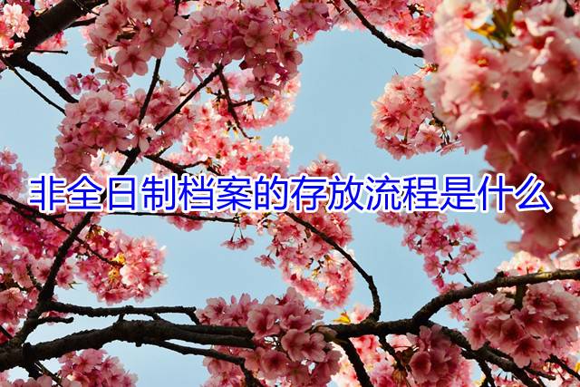 非全日制档案的存放流程是什么