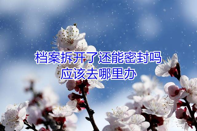档案拆开了还能密封吗，应该去哪里办