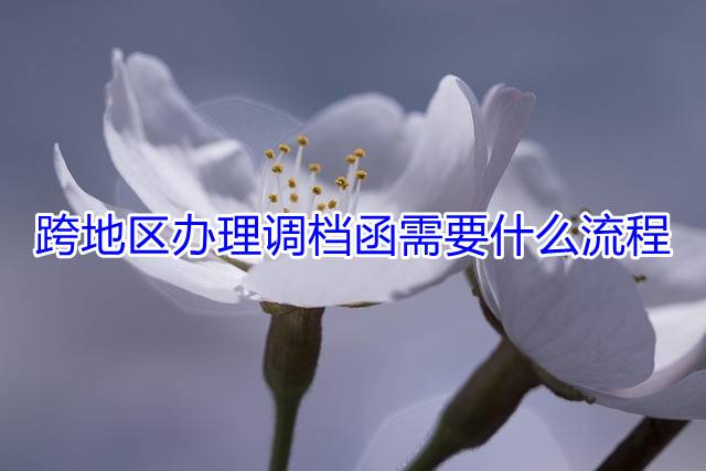 跨地区办理调档函需要什么流程