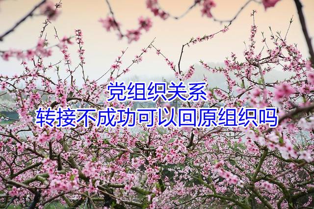 党关系转接不成功的处理方法