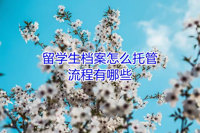 留学生档案怎么托管，流程有哪些