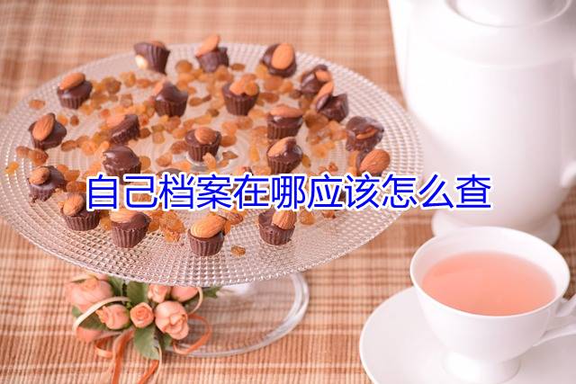 自己档案在哪应该怎么查