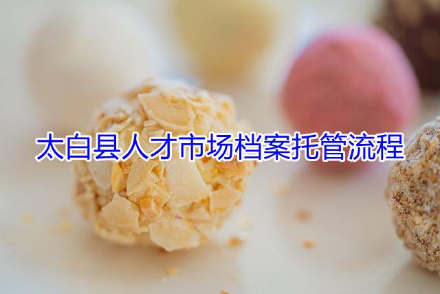 太白县人才市场档案托管流程